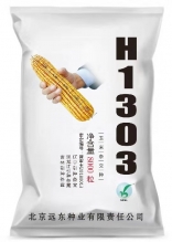杂交玉米种H1303